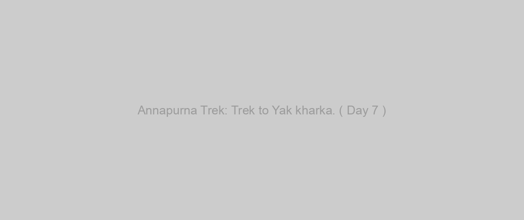 Annapurna Trek: Trek to Yak kharka. ( Day 7 )